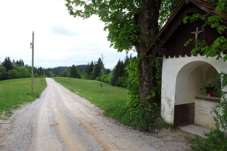 CESTA SVETI VID JERŠIČE 03 FOTO LJUBO VUKELIČ